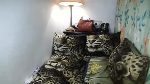 Snapshot of laureen_gavh chatting on February 8, 10:08 pm Belle online show from February 8, 10:08 pm