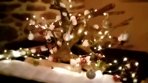 Snapshot of lauriehotxxx chatting on December 3, 4:33 pm lauriehotxxx online show from December 3, 4:33 pm