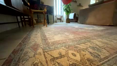 lebovski42002 online show from February 13, 2:31 pm