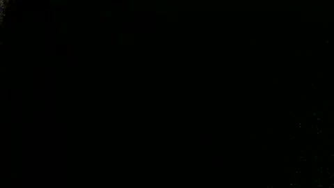 lemaleetsoncock online show from February 1, 5:15 am