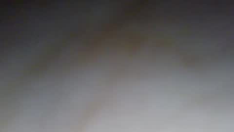 Snapshot of letsfuggincum chatting on December 6, 3:13 am Follow main  Braziliancheeks online show from December 6, 3:13 am
