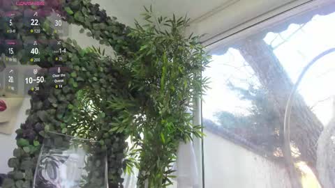 lexi_storm online show from February 12, 8:07 am