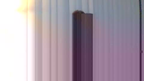 Lexi Skyy online show from October 27, 6:24 am