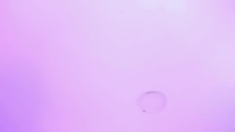 Liss 3 online show from November 11, 10:28 am