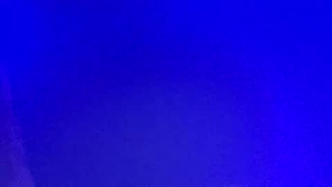 LickYourYoni online show from March 3, 2:49 pm