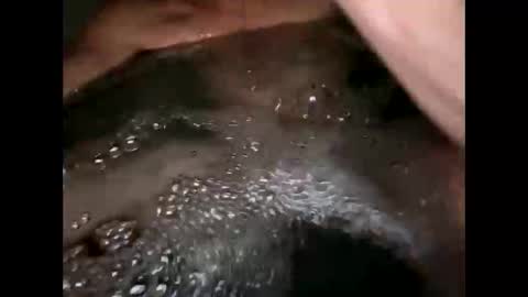 likethat6999 online show from April 7, 9:00 am