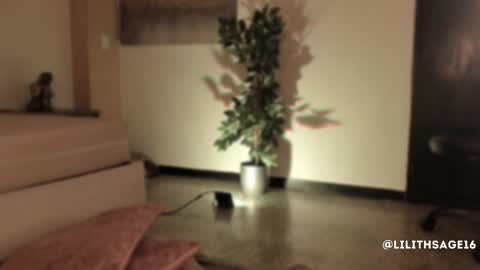 lilith_sage_ online show from November 13, 11:57 am