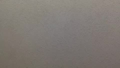 Snapshot of lillianx9zbld chatting on October 18, 8:13 pm Lily online show from October 18, 8:13 pm