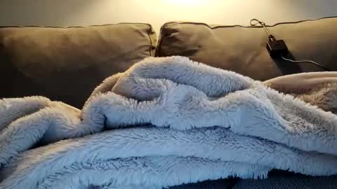 Lilly online show from December 2, 9:46 pm