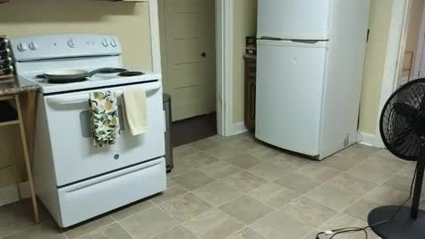 lilly_adams88 online show from February 20, 2:55 am