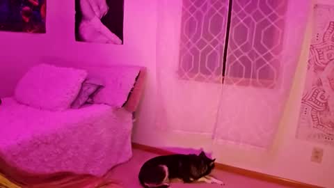 Luna online show from April 11, 4:28 am