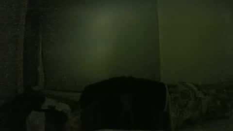 lily lovelyman online show from February 1, 6:08 pm