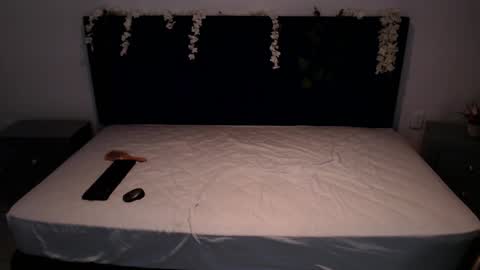 lily  online show from December 3, 3:39 pm