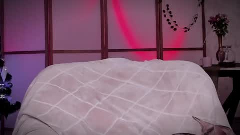 Lina -  online show from December 16, 11:44 am