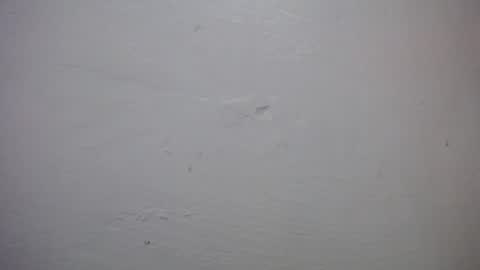 lisa_branch online show from November 10, 10:40 am