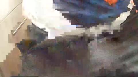 Snapshot of loboxavi chatting on September 15, 1:56 pm loboxavi online show from September 15, 1:56 pm