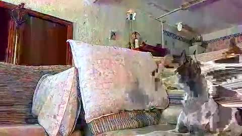 LOLA HUESO y ERIC online show from September 22, 2:32 pm