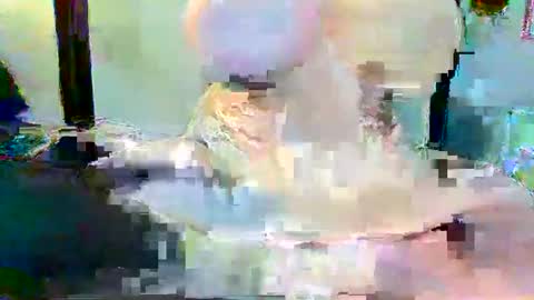 Long Dong91 online show from January 3, 5:10 pm