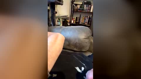 longhairhunky online show from March 7, 11:38 pm