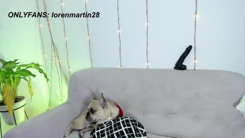 L O R E N online show from December 22, 8:48 pm