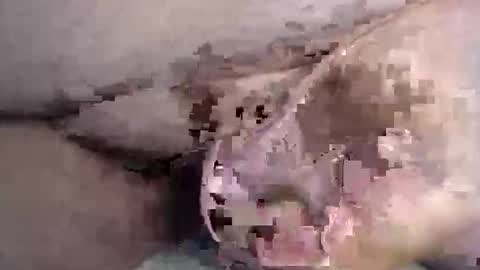 lover_troll online show from May 6, 8:53 am