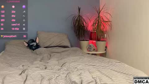 lucacharm online show from February 24, 6:00 pm