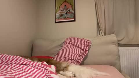 Lucy online show from March 26, 12:17 am