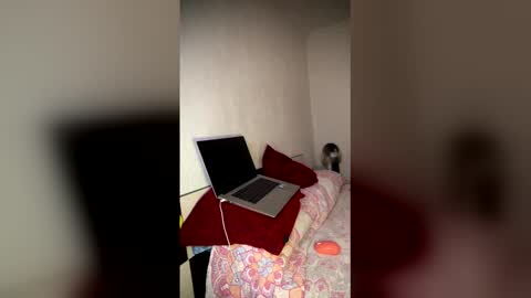 Luisa Monsters online show from February 24, 12:02 am