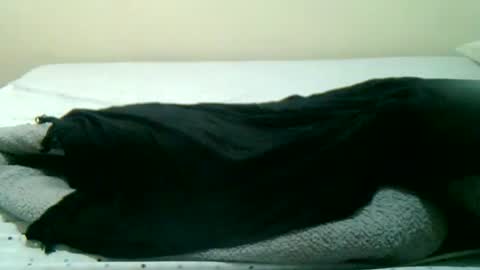 puety online show from December 13, 10:41 am