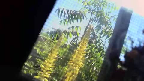 SLoppYxXPeeHoLeXxGspotxX online show from February 22, 7:38 pm