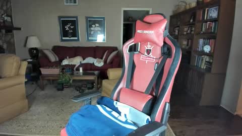 machinecumkelly69 online show from January 8, 5:57 am