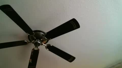 Manuel online show from January 5, 12:31 am