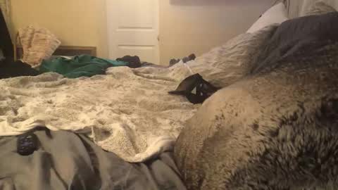 Madie Ray online show from November 13, 8:50 am