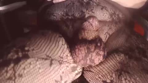 maestro2017 online show from February 1, 8:58 pm