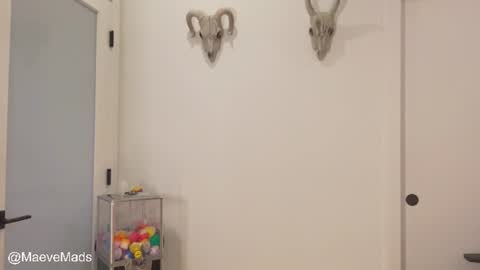 Meaves online show from June 26, 4:23 pm