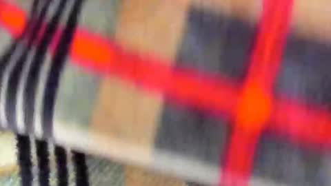 Maggie online show from November 6, 5:10 am