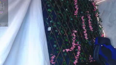 maicoljorda1 online show from November 1, 1:10 pm