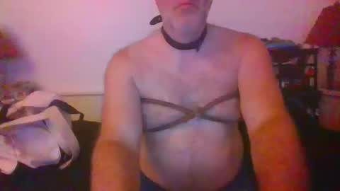 CommandbondageNipples bondage kink submissive lovense slave wgear. modequiethvyBondage If Password goldfish online show from October 14, 7:33 am