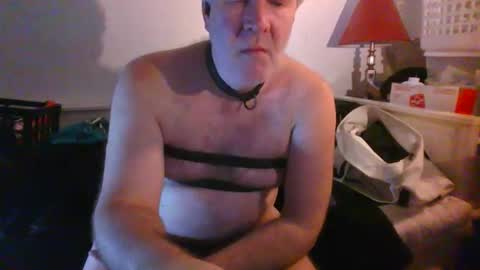 CommandbondageNipples bondage kink submissive lovense slave wgear. modequiethvyBondage If Password goldfish online show from February 24, 9:56 am