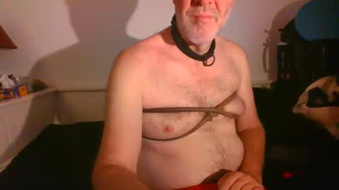 CommandbondageNipples bondage kink submissive lovense slave wgear. modequiethvyBondage If Password goldfish online show from February 16, 8:21 am