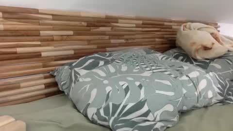 mamattv online show from January 12, 9:49 am