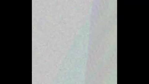 manatee bear online show from September 17, 3:10 am