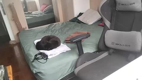 Muw online show from February 21, 12:50 pm