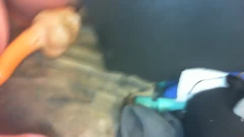 Marc online show from January 1, 10:35 pm