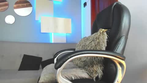 Marcus Jax1 online show from February 14, 4:37 am