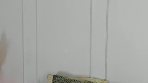 Maria Pettit online show from April 19, 10:38 am