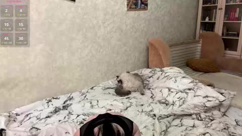 Mia online show from February 3, 1:15 pm