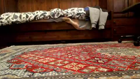 markusxxo online show from March 22, 8:40 am