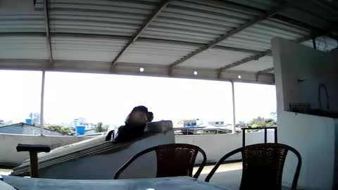 Master Cospi online show from February 14, 2:54 pm