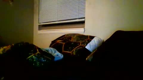 alex online show from January 12, 4:10 am